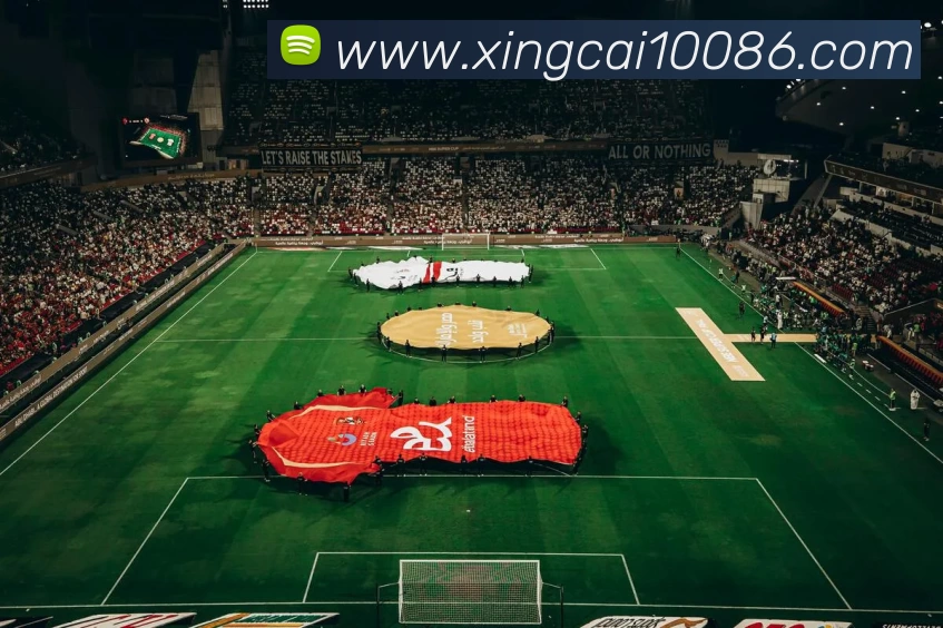 杏彩体育APP 封面图